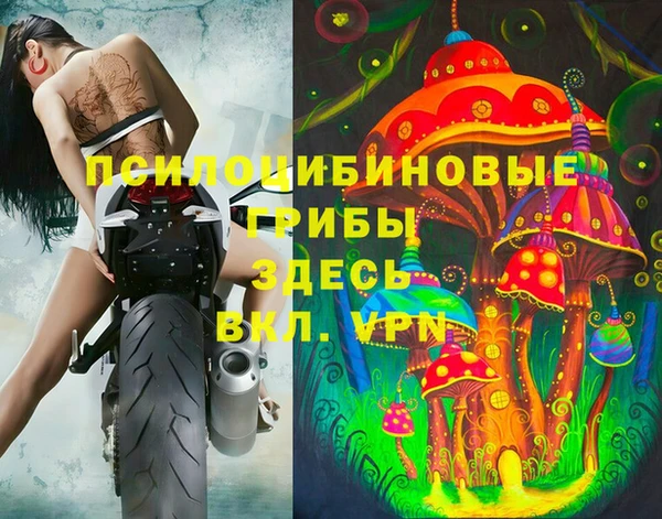 стаф Михайлов