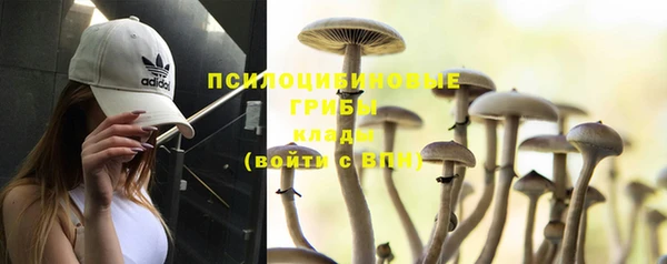 стаф Михайлов