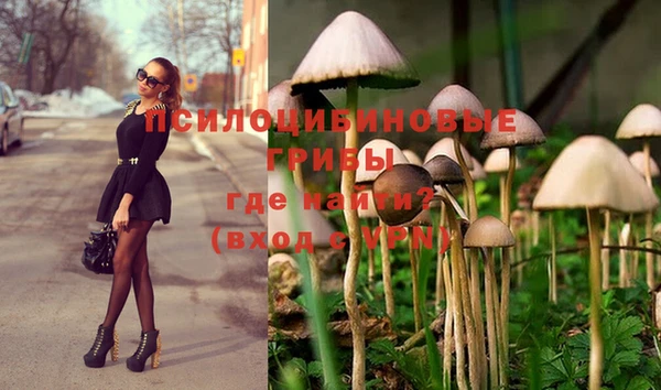 гидропоника Михайловск