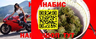 ECSTASY Будённовск