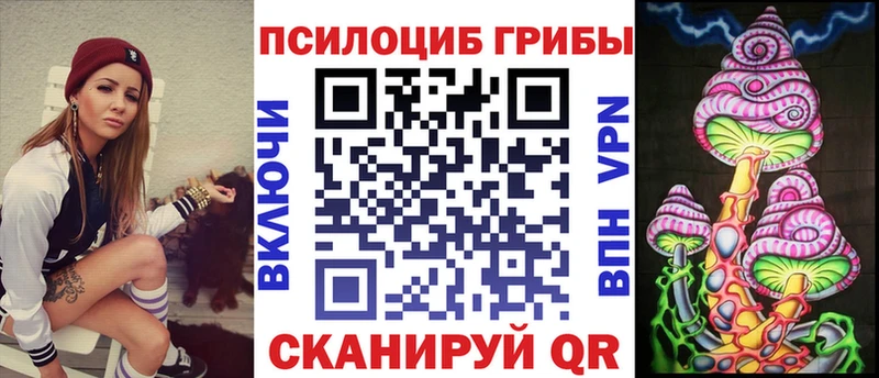 Галлюциногенные грибы Cubensis  хочу наркоту  Кизляр 