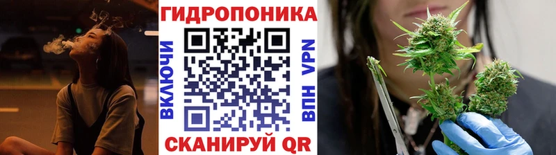 Бошки марихуана план  kraken рабочий сайт  Кизляр 
